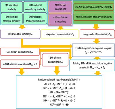 Identifying Small Molecule-miRNA Associations Based on Credible Negative Sample Selection and Random Walk